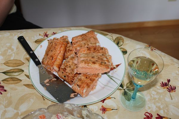 salmon